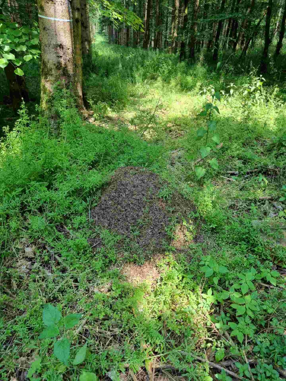 06 Aktion Juni 23 - Erlebnistage